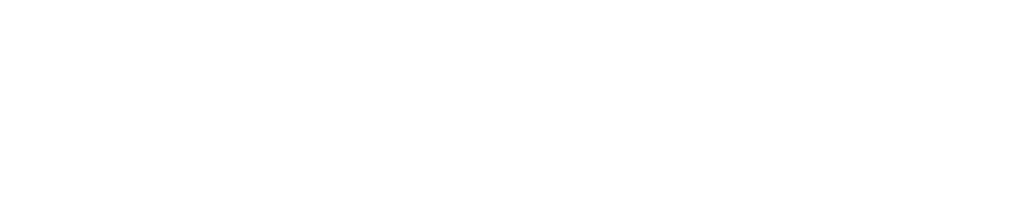 Boundless Logo